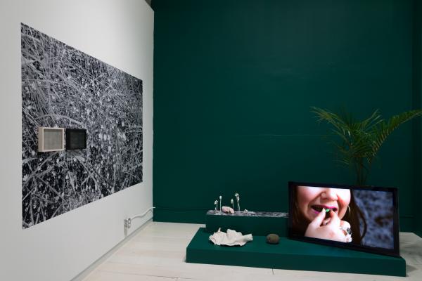 plants, a TV, and small ceramic sculptures installed on a low green plinth in front of a green wall.
