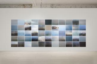 a large grid of five rows of eleven photographs by Karen Zalamea