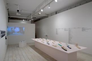 Installation view of sculptural objects and video in gallery space