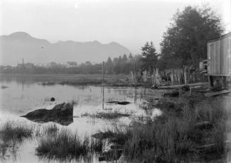 Black and White image picturing view of False Creek in 1904. A mountain in the background, and a shoreline of the salt marsh that used to exist here. Trees and marsh plants line the shore. From the City of Vancouver Archives