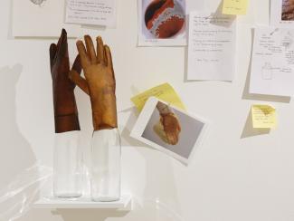 research material on a wall featuring sticky notes, drawings, photos, and sculptures of gloves propped on bottles