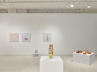 installation view of a gallery including ceramics and photographs