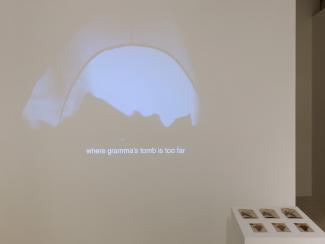 Image of a white wall with a video projection of what looks like the door of a tent and a plinth on which displays three zines and three postcards. 