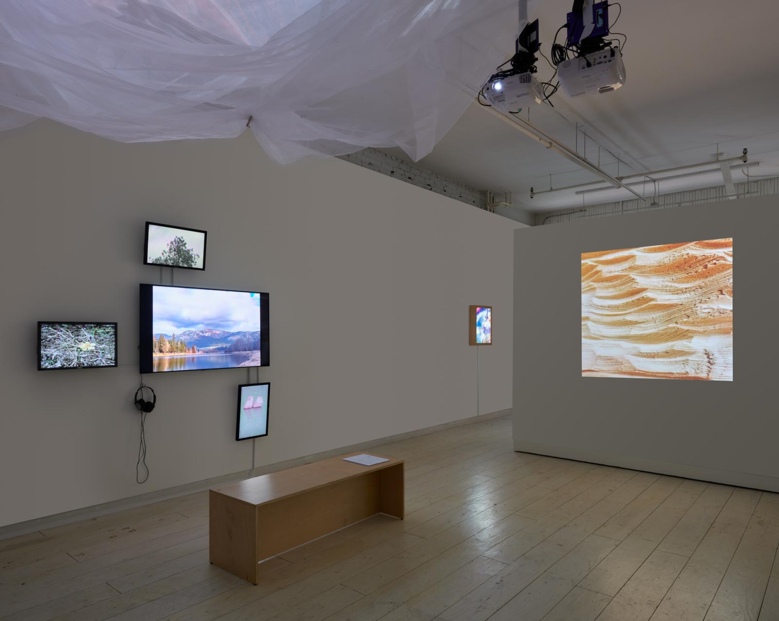 Three quarter installation view of gallery installation. On left wall is a four channel video installation of landscapes in vivid colour, on the right is a single projection of a carved blonde wood.