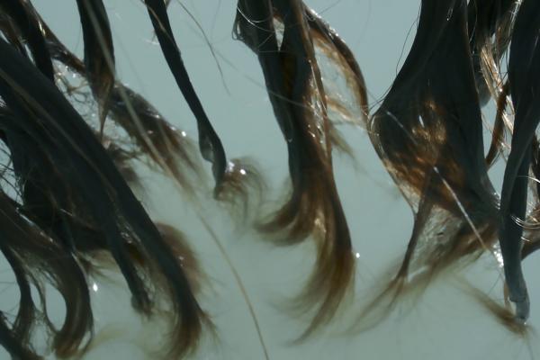 Laura Piasta, The Artist's Hair in Lillooet Lake, video still, 2015.