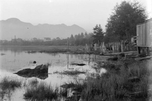 Black and White image picturing view of False Creek in 1904. A mountain in the background, and a shoreline of the salt marsh that used to exist here. Trees and marsh plants line the shore. From the City of Vancouver Archives