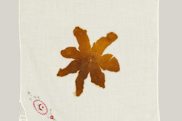 top view of a tangerine peel splayed open on a white handkerchief, the bottom left corner of which is embroidered and trimmed in lace.