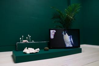 plants, a TV, and small ceramic sculptures installed on a low green plinth in front of a green wall.