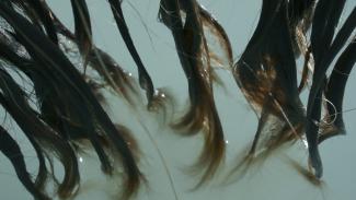 Laura Piasta, The Artist's Hair in Lillooet Lake, video still, 2015.