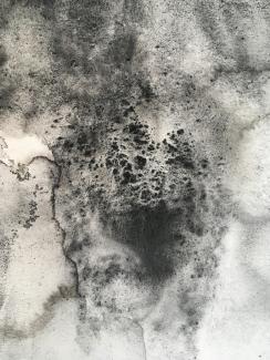 a detail of a textured charcoal drawing