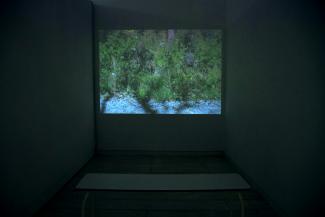 Alana Bartol, Forms of Awareness: Ghillie Suit, Aseries of Un-camoflagings, projection, 2012-ongoing.