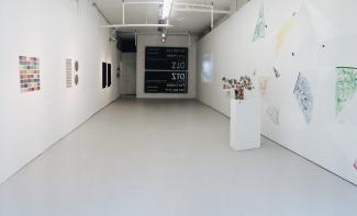 CASV Emerging Artist Prize Exhibition 2014, Access Gallery.