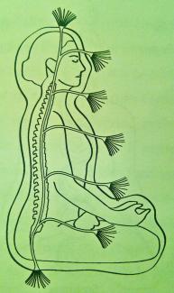 A green page with a line drawing in profile of a woman meditating. Her spine is visible, with multiple tassle-ended strands emerging at chakra locations.