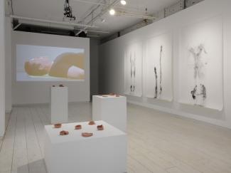 Installation view featuring three large drawings, a video of the artist lying on their back, and three plinths displaying unglazed ceramic forms.