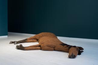 life sized horse made of felt laying on gallery floor.