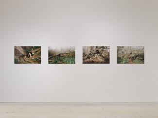 Image of a white wall with four colour photograph prints depicting human bodies in nature.