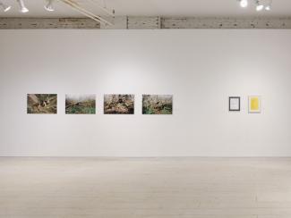 Image of a white wall with four photograph prints depicting human bodies in nature and two document-sized prints--one white and one yellow--to the right. 