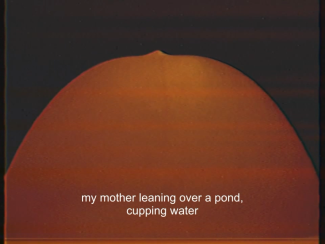 image of a pregnant belly against a black background, seen from the perspective this person. White subtitle text reads "my mother leaning over a pond, cupping water"
