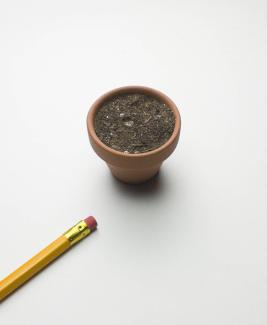 image of a small terracotta pot filled with dirt, with a pencil for scale