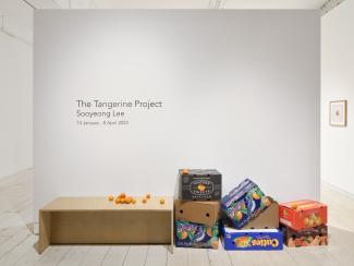 A white wall with black vinyl lettering that reads "The Tangerine Project. Sooyeong Lee. 14 January - 8 April 2023." On the floor under the text is a wooden bench, on which rests a pile of tangerines, and to the right, several cardboard citrus boxes in bright colours.
