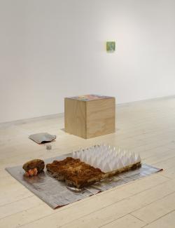 installation view of a multi-object work, including a framed plexiglass image on the wall in the background. Middle ground includes a plywood box (on top of which is a sand drawing not shown), and in front of this box is a large reflective blanket on which sits a large section of mycelium, growing mushrooms. The box and the mycelium are connected with wires that pass through a reflective envelope, hiding technology.