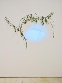 Close-Up shot of Holding Ground's piece in the NOW, NEVER Exhibit at Access Gallery.