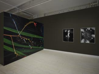 Art gallery with dark walls displaying a large vibrant nature-inspired wall piece, and a monochrome photo set to the right. Light wood floors and subdued lighting create a moody atmosphere.