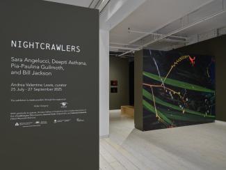 Gallery space with a dark grey-green wall featuring the "Nightcrawlers" exhibit text. Adjacent, a large, vibrant artwork displays nighttime nature motifs on the middle gallery wall. 