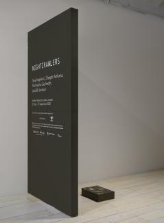 A darkly painted mini plinth features a nature-inspired print on top, displaying white and yellow flowers with green leaves which rests on the white wooden gallery floors. A darkly painted cut-out wall is located to the left of the plinth.