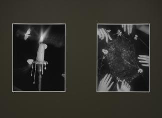Two black-and-white photographs on a dark wall. Left photo shows a candle with melting wax, moths hovering; right shows multiple hands holding a flower-decorated spider web with dew drops.