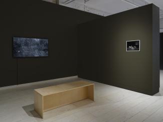 Gallery interior, with a single black-and-white photo of animals on dark walls to the right, and a wooden bench on the light gallery floors to the left with a video installation facing the bench. 