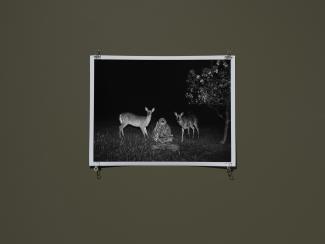 A black-and-white photo of two deer beside a stone structure at night, under a tree with leaves. The scene is pinned on a dark wall.