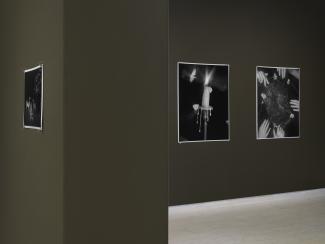 A shot of the gallery corner with three black-and-white photos on dark walls. Images feature a candle with moths, a dewy spider web with hands interacting, and a small print with two deer at night.